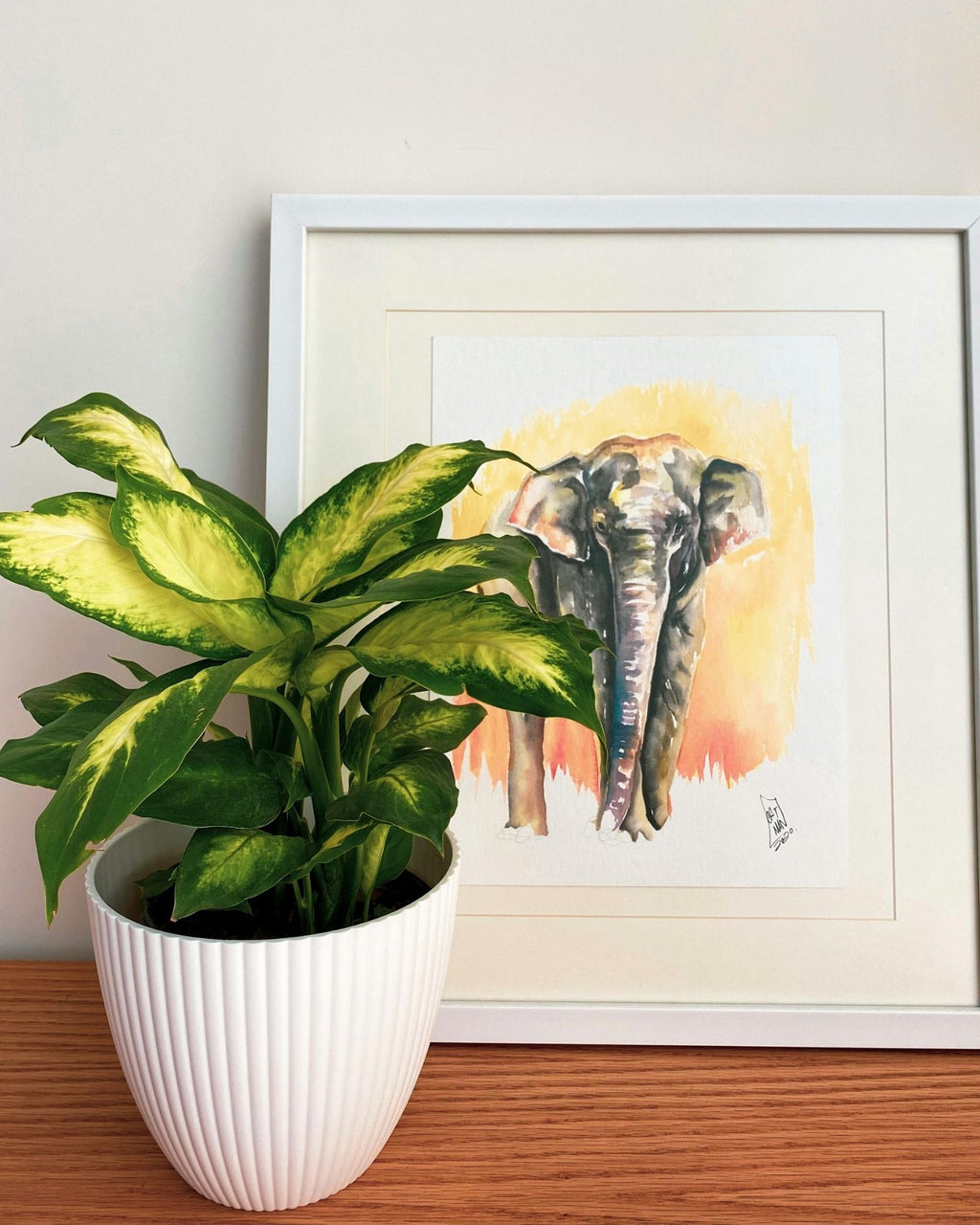 دفن باخی کامیلی