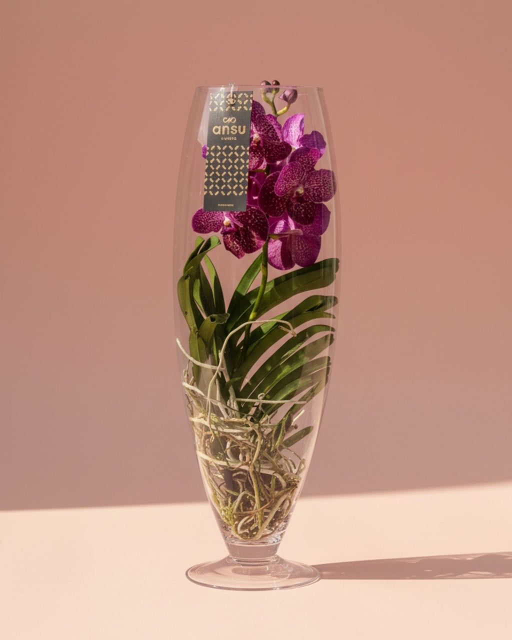 Orchid Red Champagne Glass