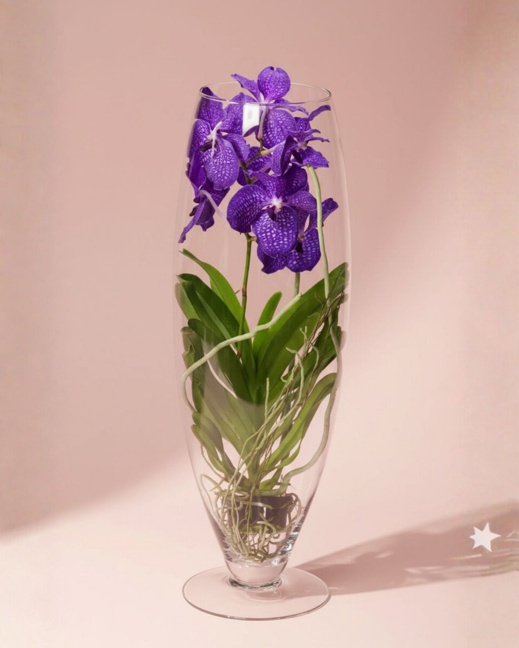 Orchid Tweed Blue Champagne Glass