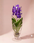 Orchid Tweed Blue Champagne Glass